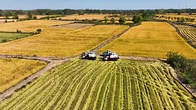 4k航拍农业农田收割机收割水稻视频的预览图